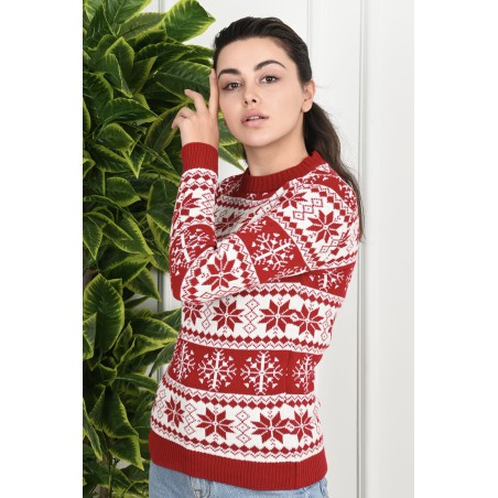 Pulover dama de Craciun 1888
