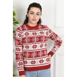 Pulover dama de Craciun 1888