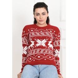 Pulover dama de Craciun 1883