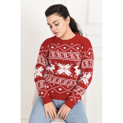 Pulover dama de Craciun 1883