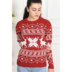 Pulover dama de Craciun 1883