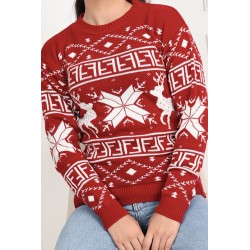 Pulover dama de Craciun 1883